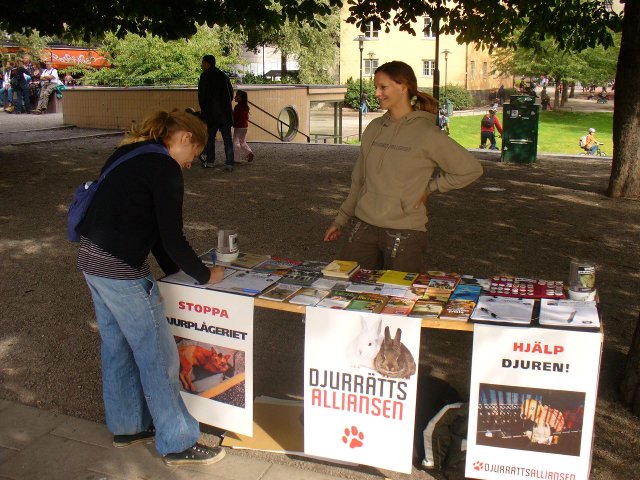 Infobord en vacker sommardag i Stockholm