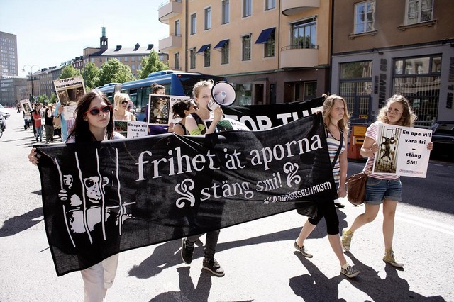 Demonstration utanför Smittskyddsinstitutet (SMI)