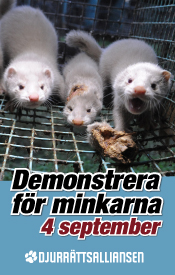 Demonstrera för minkarna!