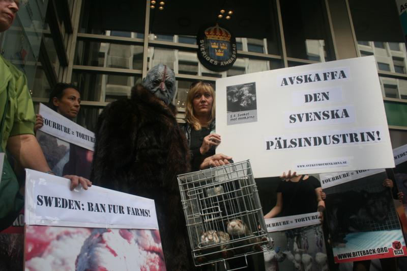 Svenska ambassaden i Bryssel 13 aug 2010