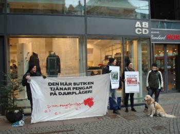 Demonstration vid ABCD.