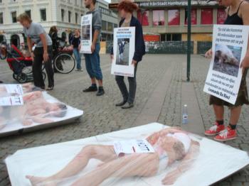 meatprotest2.jpg