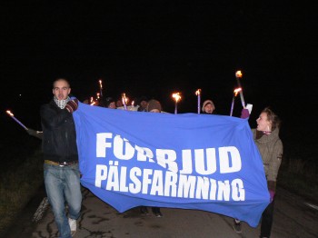 Pälsfria fredagen firades med stängd minkfarm