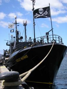 Sea Shepherd