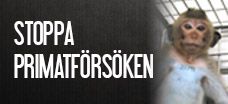 Stoppa primatförsöken