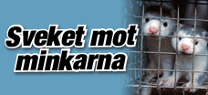 Sveket mot minkarna