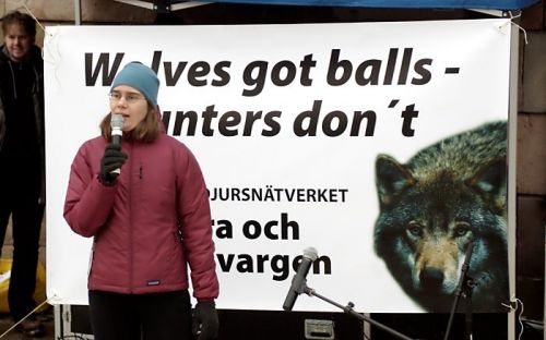 Hundratals i protest mot vargjakten