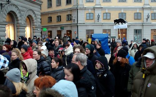Hundratals i protest mot vargjakten