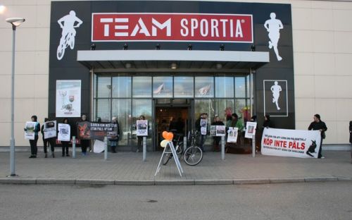 Team Sportia