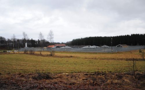 Uppdatering om Astrahundarna