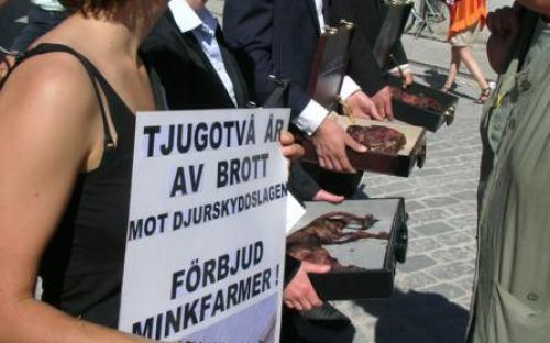 Minkarnas lidande visas upp i Almedalen