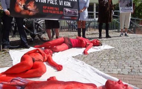Flådda djurvänner i protest utanför Stockholms modevecka