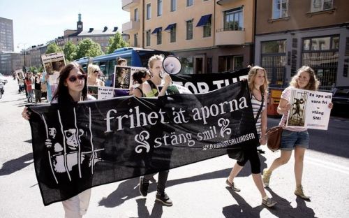 Protestmarsch mot SMI