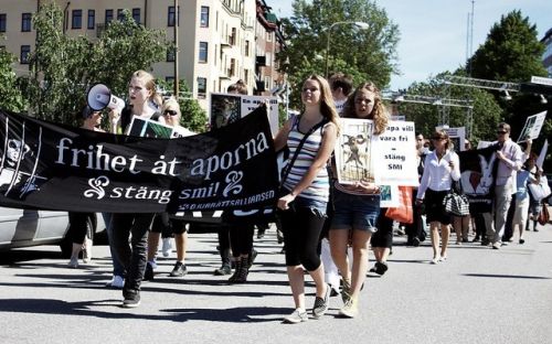Protestmarsch mot SMI