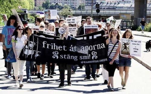 Protestmarsch mot SMI