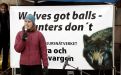 Hundratals i protest mot vargjakten