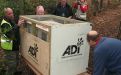 Foto: Animal Defenders International