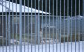 Kennel Råhöjden