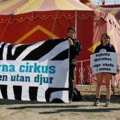 Protest mot djur på cirkus.