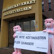 Protest utanför Jordbruksverket i samband med kampanjen Ett liv som gris.