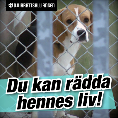 Du kan rädda hennes liv!