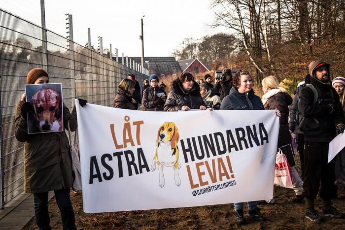 Demonstration vid AstraZeneca 