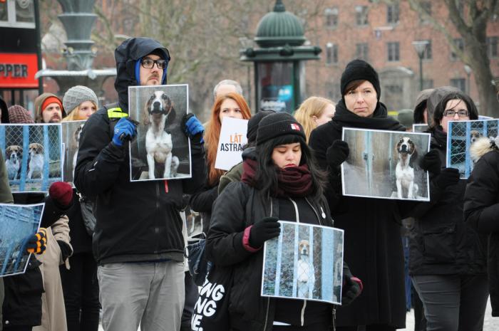 Protest för Astrahundarna