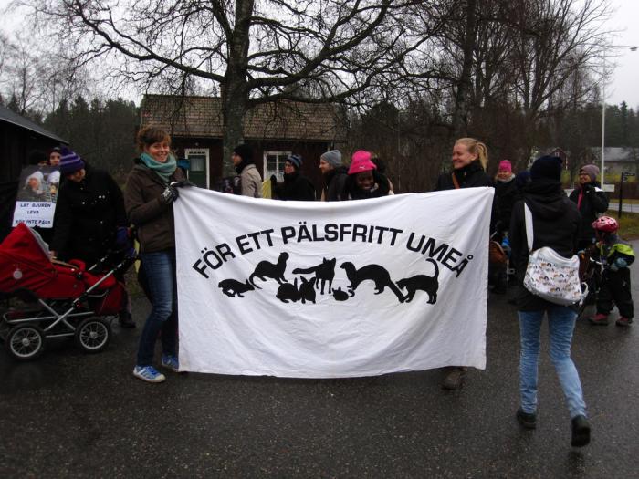 För ett pälsfritt Umeå!