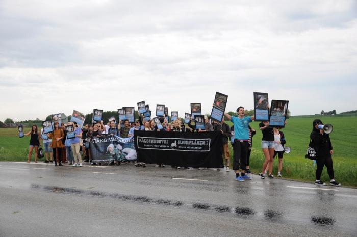 Demonstration mot minkfarm
