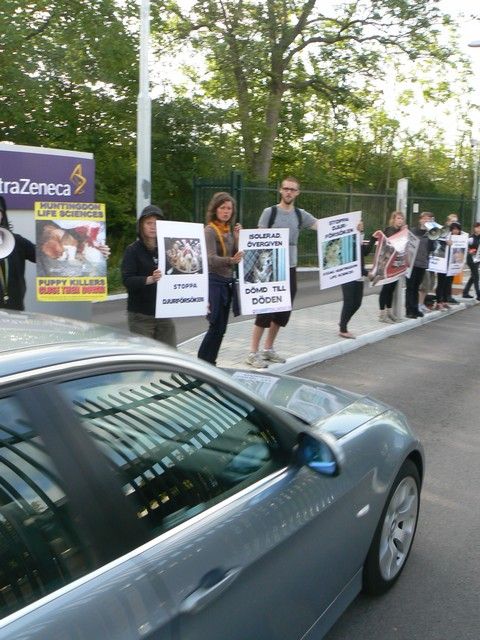 Protester mot Astra Zeneca och Teva