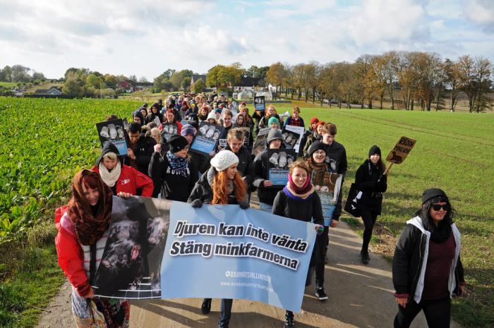 Tidigare demonstration mot minkfarmen i Svedala